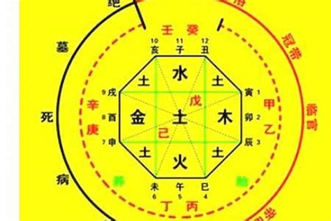 龍德 神煞|【八字 龍德】八字神煞中的龍德貴人：揭秘它的吉星意涵